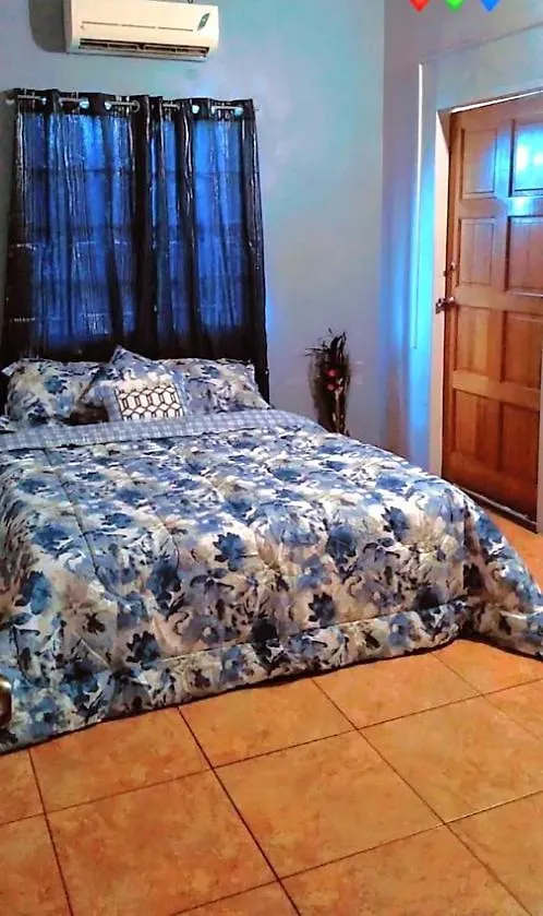 Navy Blue Hotel Curepe